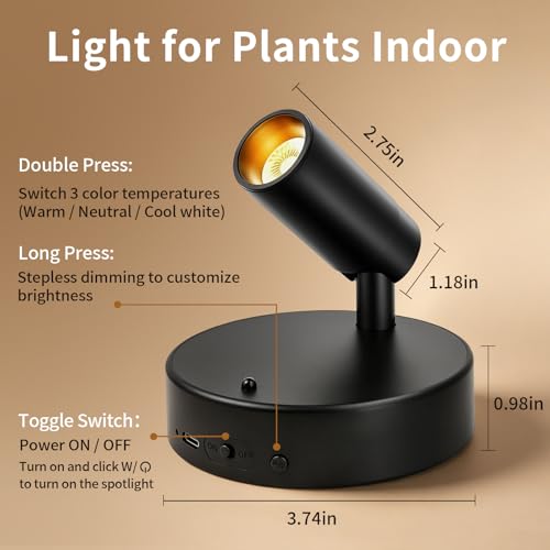 Rechargeable Indoor Spotlight with Remote | Dimmable 3-Color LED Picture Light