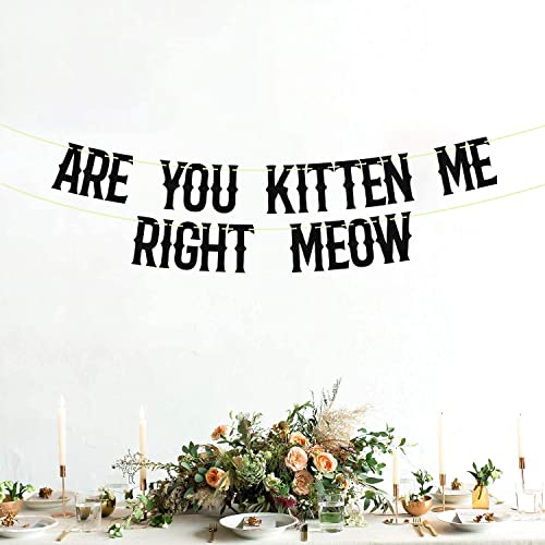 Are You Kitten Me Right Meow Banner - Black Glitter Cat Birthday Decor