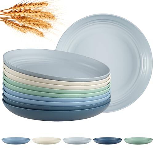 Quatish 10-Piece Reusable Plastic Dinner Plates - 8 Inch, Lightweight & Unbreakable, Dishwasher & Microwave Safe