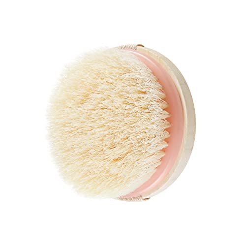 EcoTools Dry Body Brush for Exfoliating & Circulation Boost