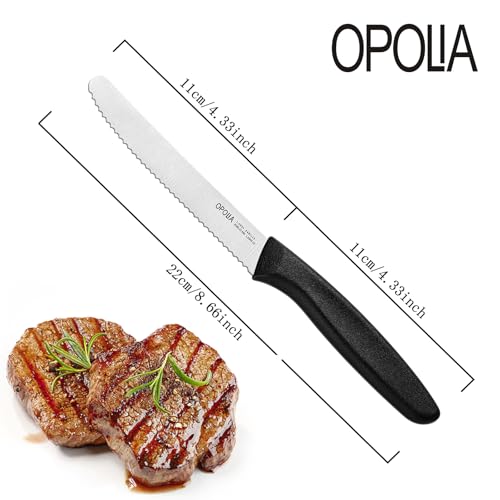 6-Piece Serrated Steak Knife Set with Ergonomic Handles