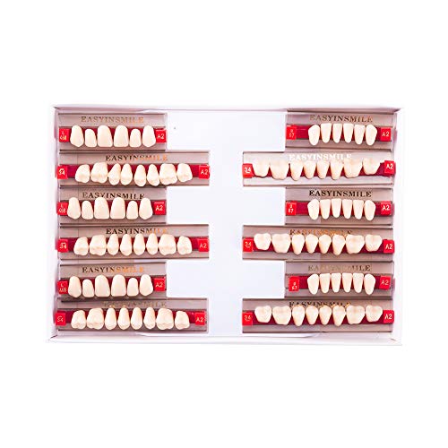Easyinsmile Full Set Synthetic Resin Teeth A2 / A3 Replacement Dentures Halloween Props