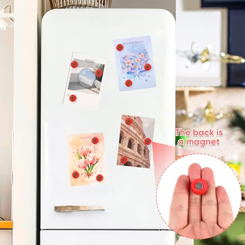 12-Pack Cute 3D Tomato Fridge Magnets - Durable & Fun Decor