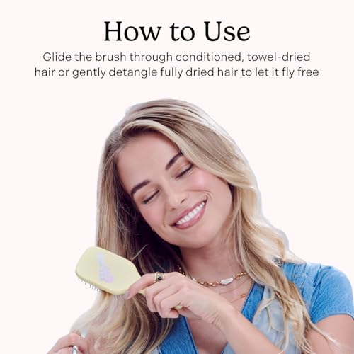 Mane Mini Detangling Hair Brush - Travel Size Anti-Static Brush
