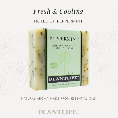 Plantlife Peppermint Natural Bar Soap 2-Pack - Handcrafted Vegan 4 oz