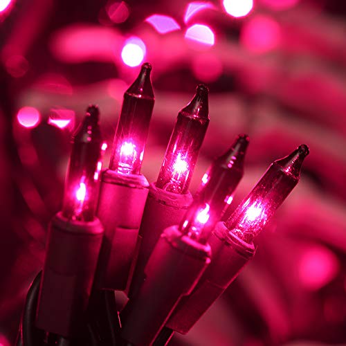 Brizled 100 Count Purple Halloween String Lights, 21.3ft