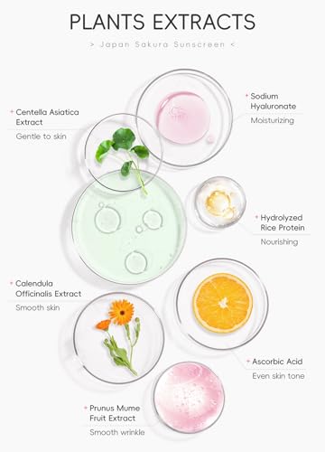 New Cover Hydrating Sunscreen SPF 50 - 2 Pack Travel Size Face & Body Primer