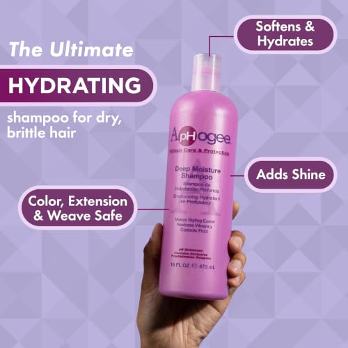Aphogee Deep Moisture Shampoo for Dry Hair 16 Fl Oz - Frizz Control & Shine