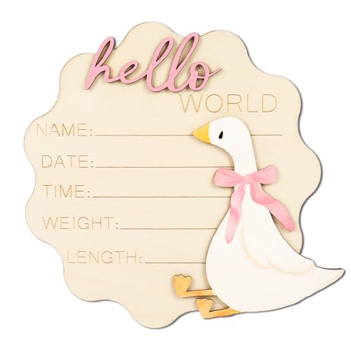 FYSUIMU Silly Goose Newborn Milestone Sign with Pink Bow