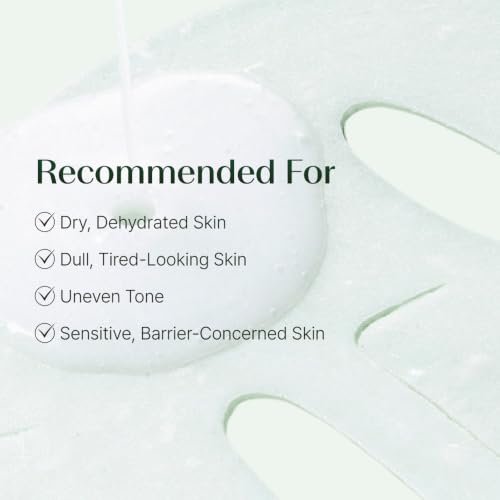 Daily Refresh Hydrating Sheet Mask with Niacinamide & Peptides - 6ct
