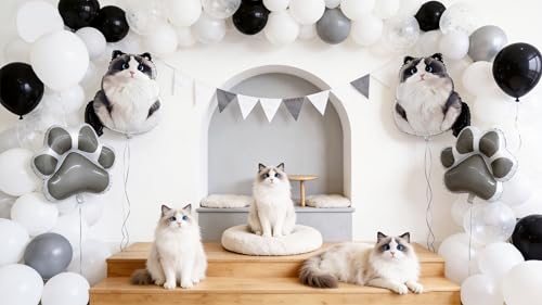 Birman Cat Foil Balloons Set - Cat Paw & Sitting Cat Decorations