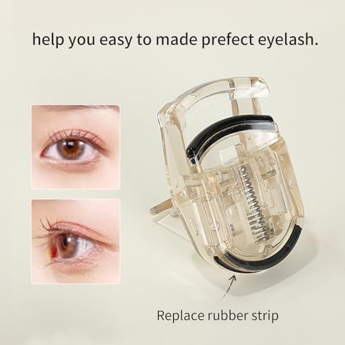 Beige MSQ Eye Makeup Kit with 5 Eyeshadow Brushes, Eyelash Curler & Sponge