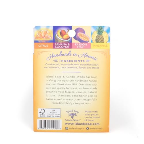 Island Soap & Candle Works Tropical Lip Balm Sampler – 4 Pack Tin Set