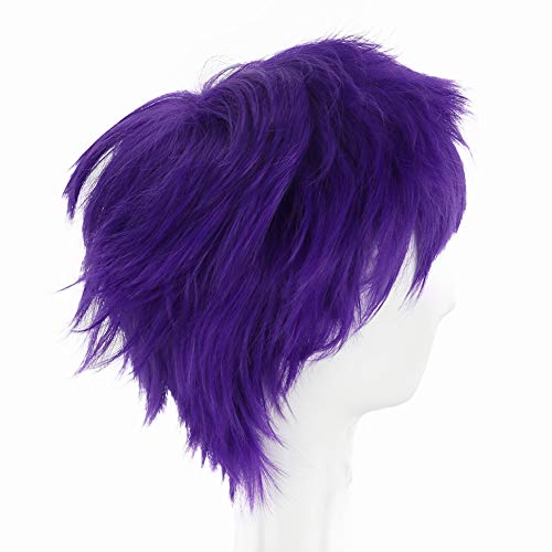 HH Building 12-Inch Short Layered Shaggy Wig - Royal Purple Synthetic Hair