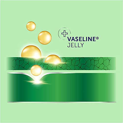 Vaseline Aloe Lotion 10oz - Intensive Hydrating Moisturizer for Dry Skin