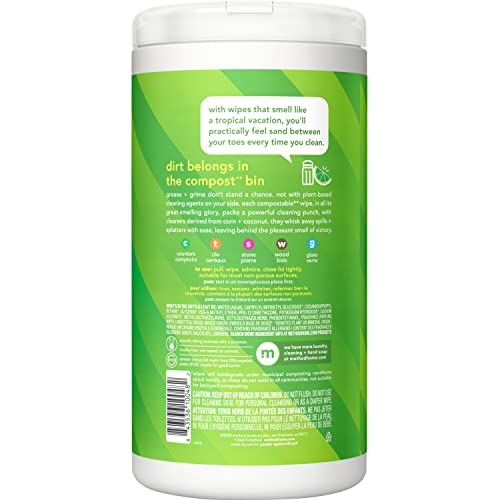 Method All-Purpose Cleaning Wipes - Plant-Based, Pack of 2