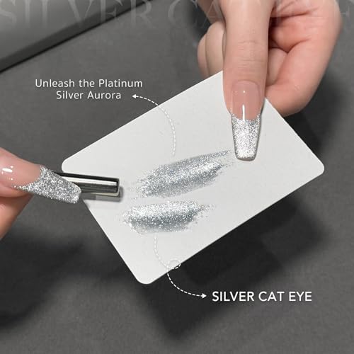 GAOY Silver Cat Eye Gel Nail Polish Art Liner - 12ml Glitter