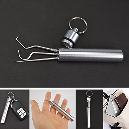 Reusable Stainless Steel Toothpick Set for Teeth Cleaning with Holder - Portable Dental Picks for Travel & Outdoor Use