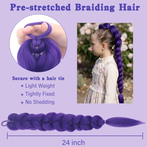 Purple Hair Extensions 24 Inch Braided Ponytail with Elastic Tie for Cosplay & Parties