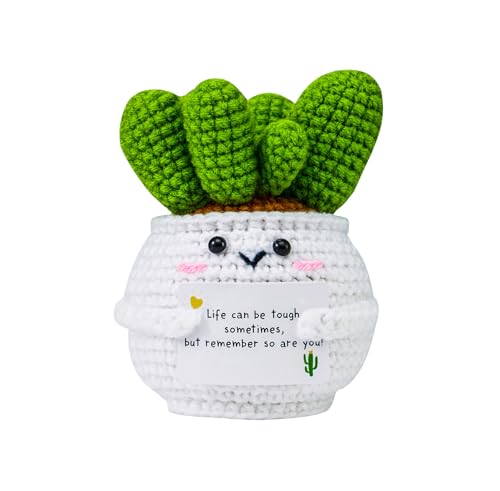 Handmade Crochet Cactus Doll | Positive Emotional Support Gift