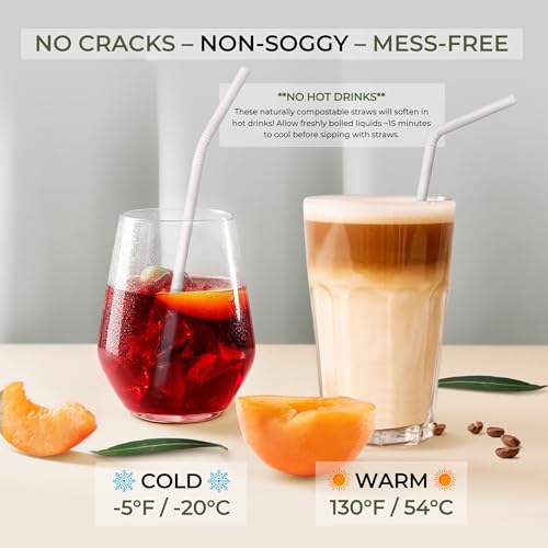EcoPreps 120 Count Biodegradable Bamboo Fiber Drinking Straws