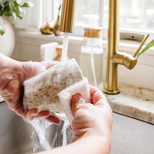 Full Circle Coconut Scrubber Sponges - Pack of 6, Dual-Sided, Eco-Friendly