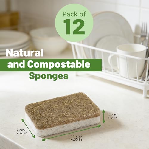 Plant-Based Kitchen Sponges - 12 Count Biodegradable & Non-Scratch