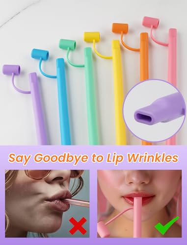 NiHome 6PCS Reusable Silicone Anti-Wrinkle Straws for Stanley Tumblers