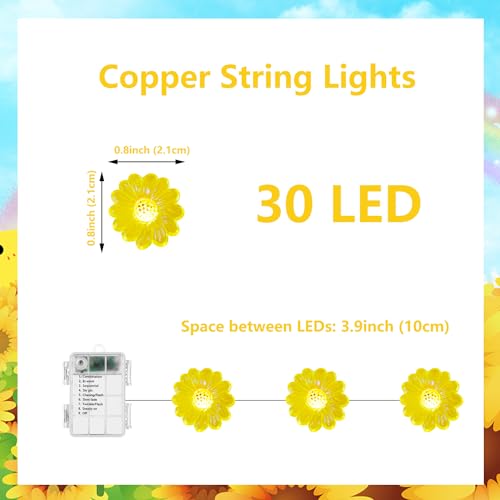 Flower String Lights with Remote Control - 30 LED Copper Wire Fairy Lights