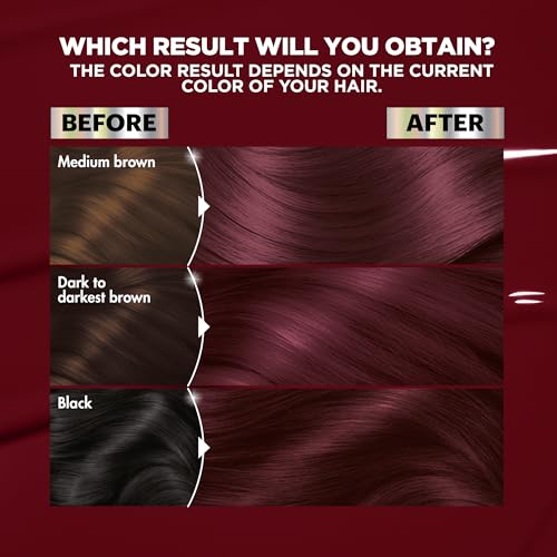 Garnier Nutrisse Ultra Color Permanent Hair Dye, BR3 Intense Burgundy