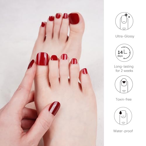 DANNI & TONI Garnet Gaze Gel Toenail Strips - Cat Eye Pedicure Wraps