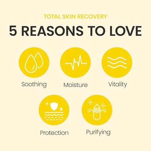 Baegayul ORIGIN Citrus Face Moisturizer Cream - Korean Hydration for Dry, Sensitive Skin 2.71 fl oz