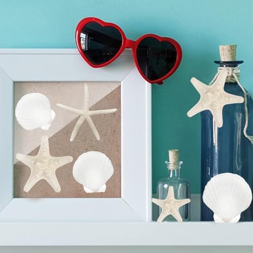 Fangoo 16Pcs Natural Starfish & Scallop Shells for Crafts