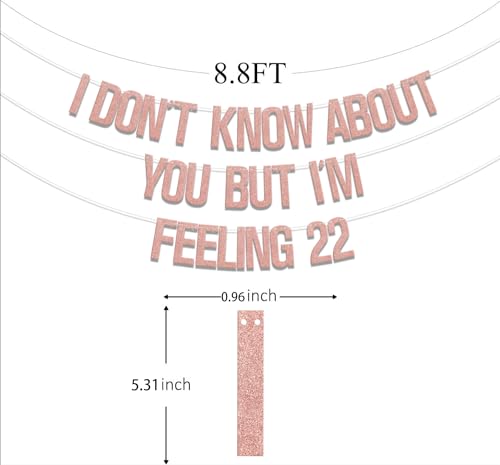 I Don't Know About You But I'm Feeling 22 Banner - 22nd Birthday Party Decoration