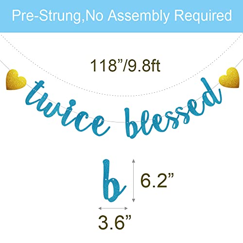 Twice Blessed Banner - Pre-Strung Blue Glitter Party Decor for Twins