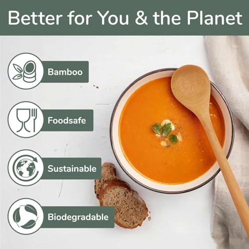 BambooMN 8-Inch Reusable Bamboo Soup Spoons - Pack of 10