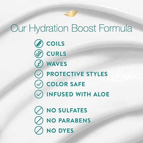 Dove Amplified Textures Hydration Boost Scalp Tonic, 3.2 oz (2 Pack)
