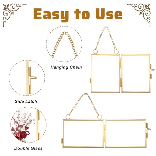 YUXIANLB 4 Pcs Mini Double Glass Frame for Pressed Flowers - 2x3 Inch Gold Wall Hanging Decor
