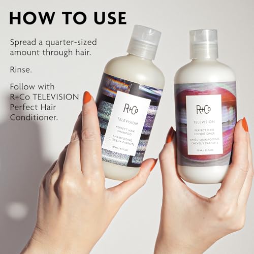 R+Co TELEVISION Perfect Hair Shampoo, 2 Fl Oz - Moisturizing & Detoxifying
