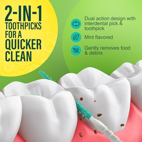 GuruNanda 2-in-1 QuickPik Toothpick & Interdental Pick, 300 Ct