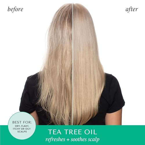 HASK Tea Tree & Rosemary Oil Scalp Care Conditioner, 12 fl oz