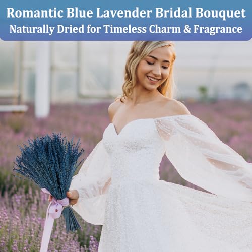 2 Bundles of Premium Preserved Blue Lavender Flowers - 17" Aromatic Stems for Home Decor & Crafts