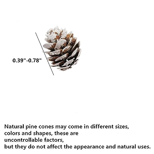180 PCS Mini Pine Cones - Organic Rustic Ornaments for Crafts