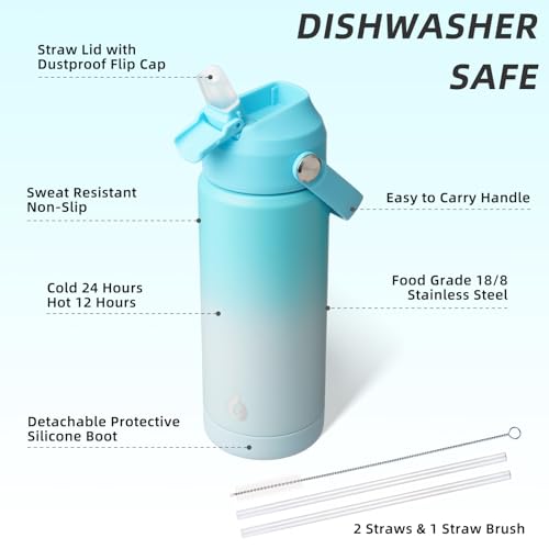 BJPKPK 18oz Insulated Stainless Steel Water Bottle with Straw Lid