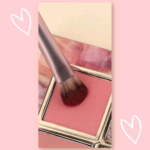 Aura 4-Piece Professional Synthetic Eyeshadow Brush Set with Case