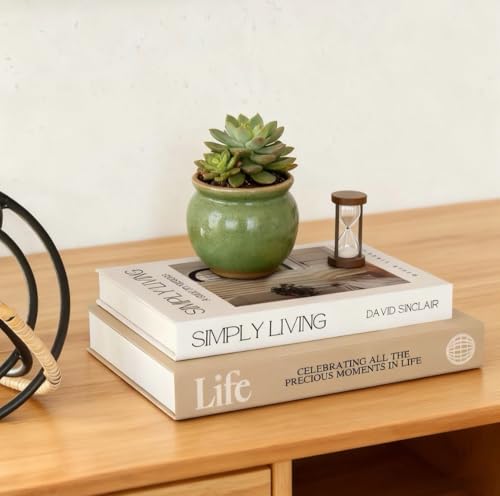 Minimalist Faux Books for Coffee Table Decor - 2 Pcs Set