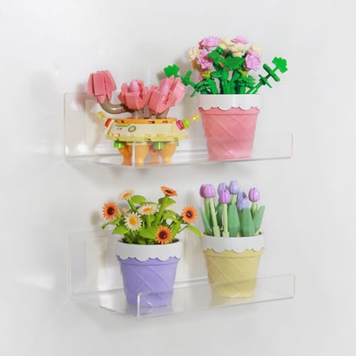 TONICE 2-Pack 10in Wall-Mounted Acrylic Floating Shelves