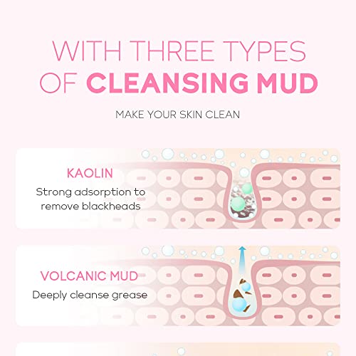 Deep Cleansing Facial Mud Mask - 20 Individually Packaged Clay Masks