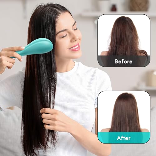 Aussumy Detangling Hair Brush Set - 2 Pack for Kids & Adults, Purple & Blue
