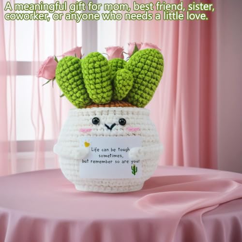 Handmade Crochet Cactus Doll | Positive Emotional Support Gift